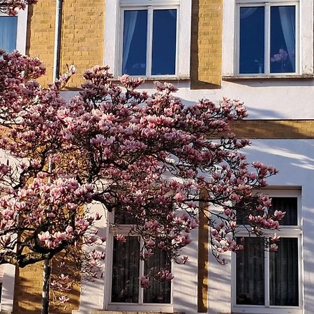 Ferienwohnung Rosi Naumburg  Zewnętrze zdjęcie