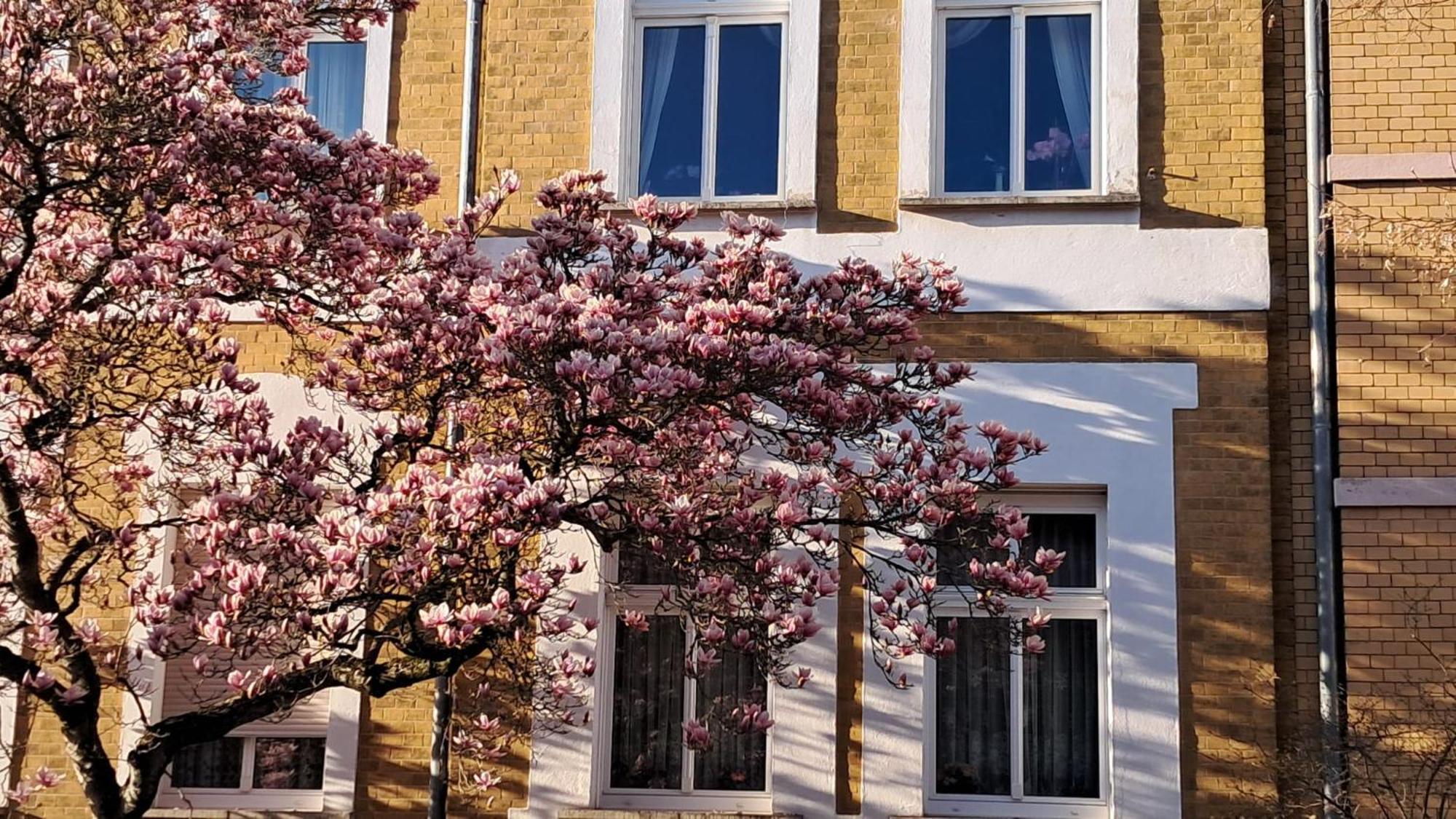 Ferienwohnung Rosi Naumburg  Zewnętrze zdjęcie